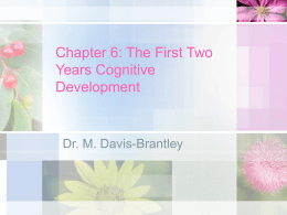 Chapter 6: The First Two Years Cognitive