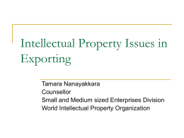 Intellectual Property Issues in Exporting