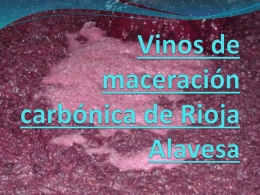 Vinos de maceración carbónica de Rioja Alavesa