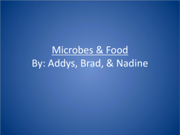 Microbes & Food By: Addys, Brad, & Nadine