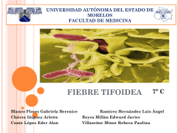 Fiebre Tifoidea Caso clínico, estudio