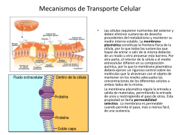 Mecanismos de Transporte Celular