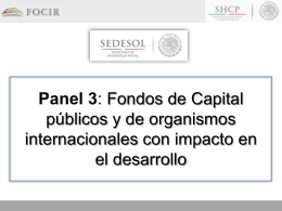 Panel 3: Fondos de Capital públicos y de