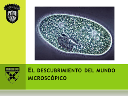 El descubrimiento del mundo microscópico