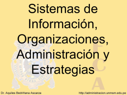 Sistemas de Información, Organizaciones,