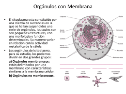 Orgánulos con membrana