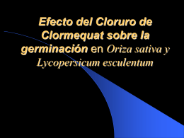 Inhibición de la Germinación por medio de Cloruro
