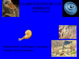 LOS ANIMALES - Inicio - Ministerio de Educación,