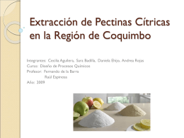 Extracción de Pectinas Cítricas en la Región de