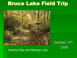 Bruce Lake Field Trip