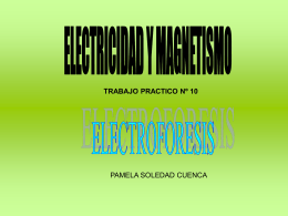 ELECTRICIDAD Y MAGNETISMO TRABAJO PRACTICO Nº 10