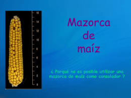 AG2- Mazorca de maíz