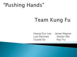 Team Kung Fu