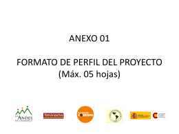 ANEXO 01 FORMATO DE PERFIL DEL PROYECTO (Máx. 05