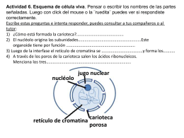 Diapositiva 1 - Morfología Vegetal