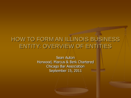 HOW TO FORM AN ILLINOIS BUSINESS ENTITY: OVERVIEW