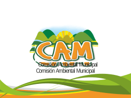 Comisión Ambiental Municipal CAM