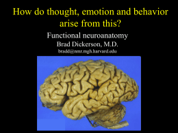 Functional neuroanatomy Brad Dickerson, M.D.