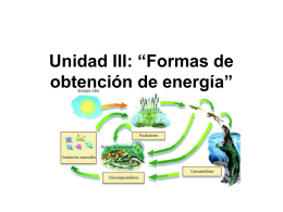Unidad III: “Formas de obtención de energía”