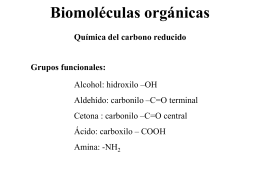 Biología. 2º Bachillerato. Tema 2a: Glúcidos
