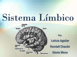 Sistema Límbico