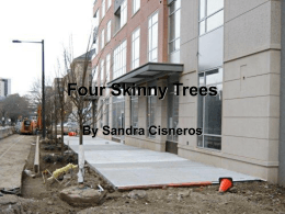 Four Skinny Trees - area1seventh
