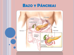 Bazo y Páncreas