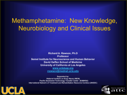 Methamphetamine: New Knowledge, Neurobiology and