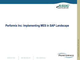 Performix Inc Implementing MES in SAP Landscape