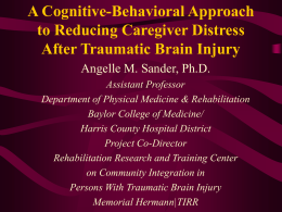 Family Environment of Persons With Traumatic Brain