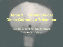 Tema 9. Formación del Disco Germativo Trilaminar
