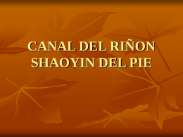CANAL DEL RIÑON SHAOYIN DEL PIE