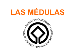 LAS MÉDULAS - aprendespañol.com: free resources to