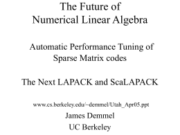 The Future of Numerical Linear Algebra Automatic
