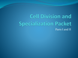 Cell Division and Specialization Packet