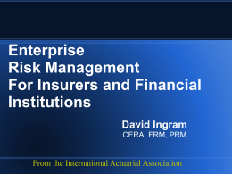 Risk Management Implementation