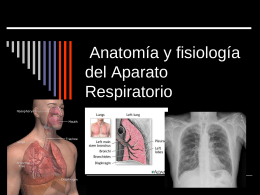 Tema 4: Anatomía y fisiología del Aparato