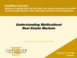 Real Estate Coalition Update and Action Plan