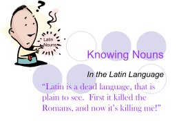 Knowing Nouns - SchoolRack.com
