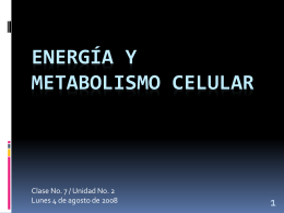 Energía y Metabolismo Celular