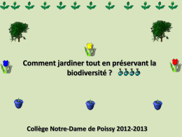 Diapositive 1 - Notre Dame de Poissy