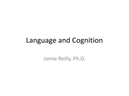 Language and Cognition - University of Florida