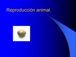 Reproducción animal.