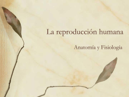 La reproducción humana