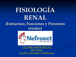 FISIOLOGIA RENAL - Nefrovet | Nefrourología