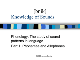 Sounds in Use