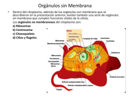 Orgánulos con Membrana