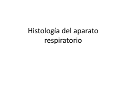 Histología del aparato respiratorio