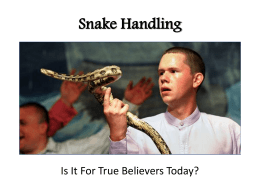 Snake Handling - The Good Teacher