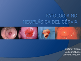 Patología no Neoplásica del Cérvix